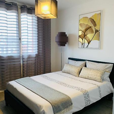 St Louis Appartement Roanne Bagian luar foto