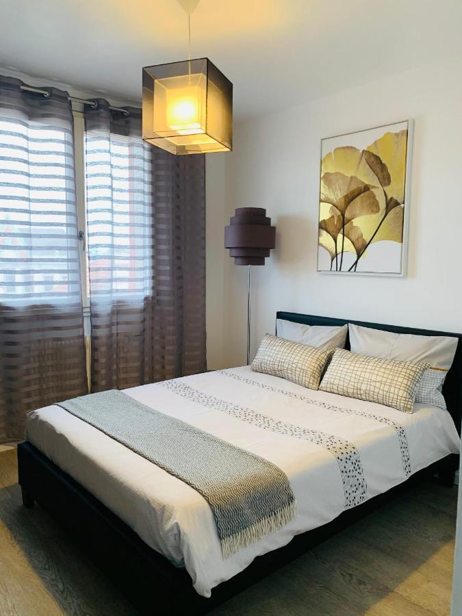 St Louis Appartement Roanne Bagian luar foto